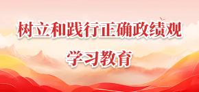 树立和践行正确政绩观学习教育